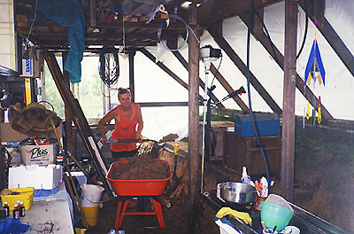 interior excavations