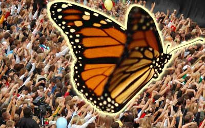 Fly free from the past - change your life with coaching