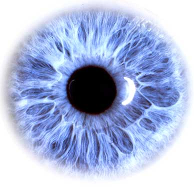 a human iris - artistic masterpiece and blueprint for a human life