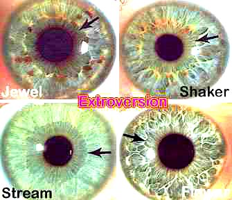 Extroverted Irises