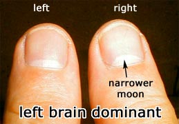 thumbs indicating left-brain dominance