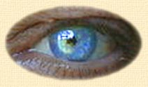 webmasters left eye