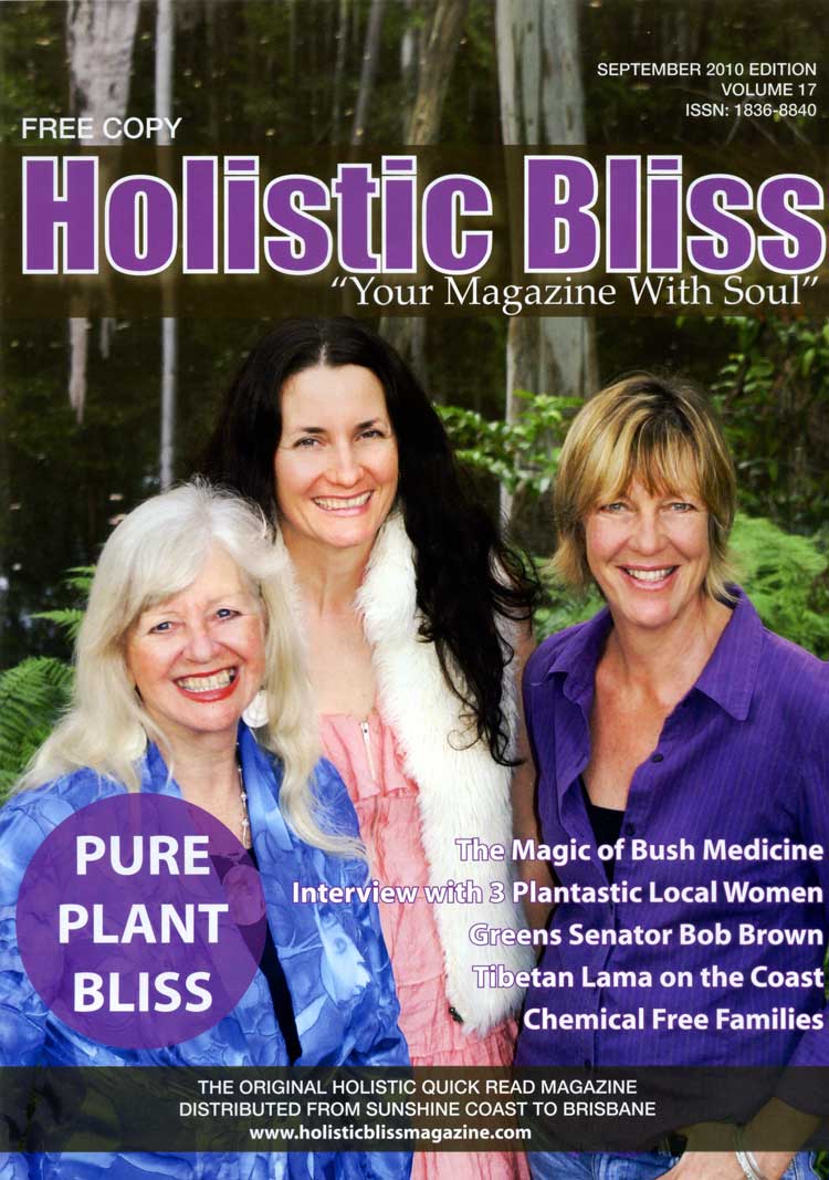 Holistic Bliss cover
