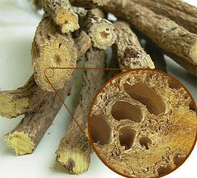 Liquorice root with detail 
