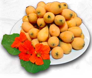 a delicious dish - all natural, all healing