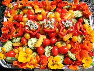 flowers add a splash of colour with a variety of flavours to any salad dish