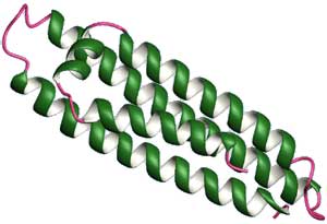 conceptual image of an enzyme
