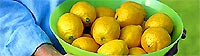 Lemon Juice has cleansing and brightening abilities