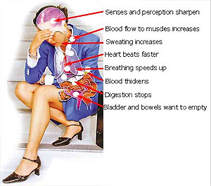 what the body does when subjected to stress