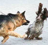 some situations really do require the fight or flight response