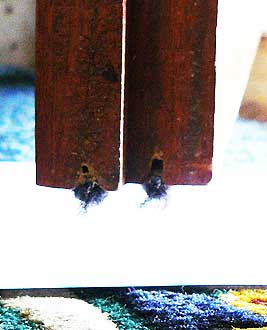 the draught-excluding nylon brush strips inset in the bottom of the doors