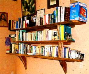 The bookshelves in the clinic room