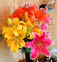 A lovely bunch of flowers brightened things up