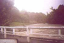 The Obi in flood