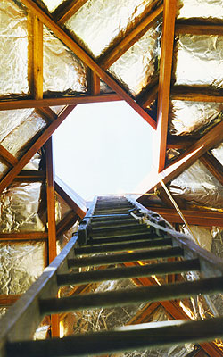 the ladder leading to the apex - a heart-stopping climb