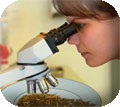 whats in Cayenne Pepper?