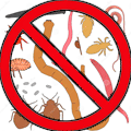 Specifically formulated to eliminate internal parasites throughout your body gently and naturally