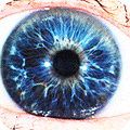 Specifically formulated to restore and maintain the healthy state and operation of your eyes